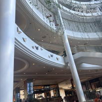 фото из отзыва ID 2726127