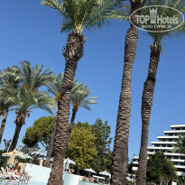 фото из отзыва ID 2726127