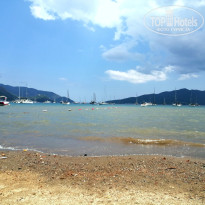 фото из отзыва ID 2726182