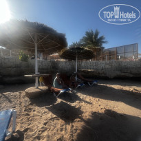 фото из отзыва ID 2726223