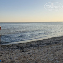 фото из отзыва ID 2726210