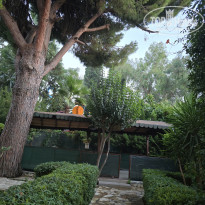 фото из отзыва ID 2726249