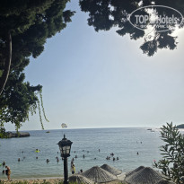 фото из отзыва ID 2726249