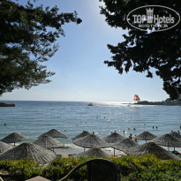 фото из отзыва ID 2726249