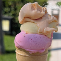 фото из отзыва ID 2726260