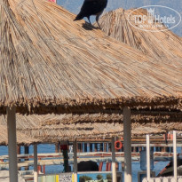 фото из отзыва ID 2726260