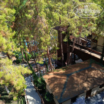 фото из отзыва ID 2726277