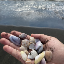 фото из отзыва ID 2721496