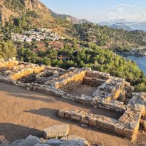 фото из отзыва ID 2723753