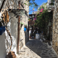 фото из отзыва ID 2723753