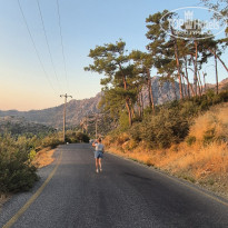 фото из отзыва ID 2723753