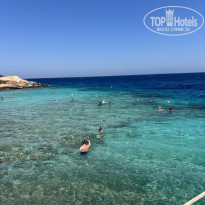 фото из отзыва ID 2726350