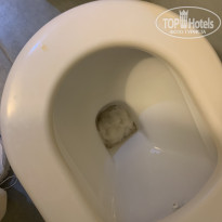 фото из отзыва ID 2726377