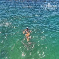 фото из отзыва ID 2726435