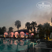 фото из отзыва ID 2726446