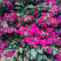фото из отзыва ID 2726445