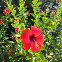 фото из отзыва ID 2726445