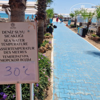 фото из отзыва ID 2726465