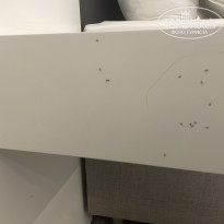 фото из отзыва ID 2726480