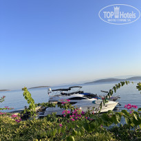 фото из отзыва ID 2726511