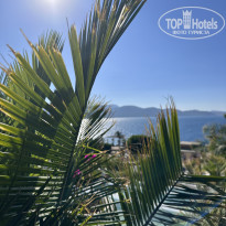 фото из отзыва ID 2726511