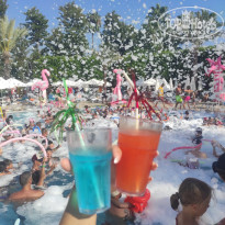 фото из отзыва ID 2726532