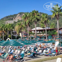 фото из отзыва ID 2726558