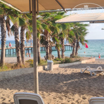 фото из отзыва ID 2726605