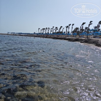 фото из отзыва ID 2726652