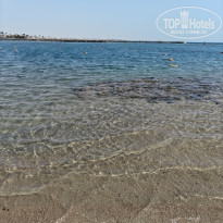 фото из отзыва ID 2726652