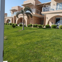 фото из отзыва ID 2726652