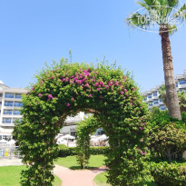 фото из отзыва ID 2726655