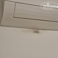 фото из отзыва ID 2726662