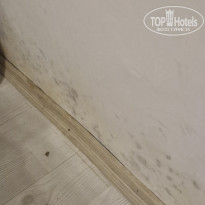 фото из отзыва ID 2726662