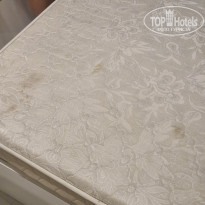 фото из отзыва ID 2726662