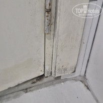 фото из отзыва ID 2726662