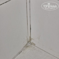 фото из отзыва ID 2726662