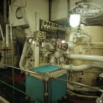 фото из отзыва ID 2726657