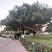фото из отзыва ID 2726677