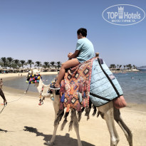 фото из отзыва ID 2726677