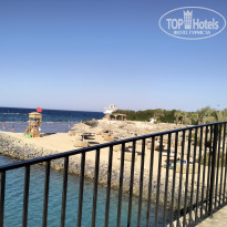 фото из отзыва ID 2726677