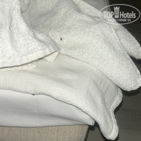 фото из отзыва ID 2726778