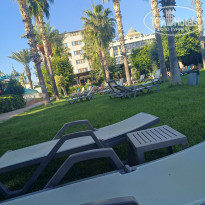 фото из отзыва ID 2726803