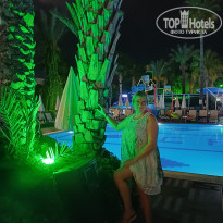 фото из отзыва ID 2726803