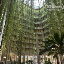 фото из отзыва ID 2726530