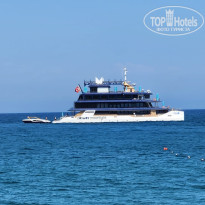 фото из отзыва ID 2726845