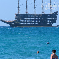 фото из отзыва ID 2726889