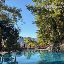 фото из отзыва ID 2726329