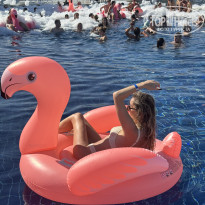 фото из отзыва ID 2726924