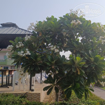 фото из отзыва ID 2726904